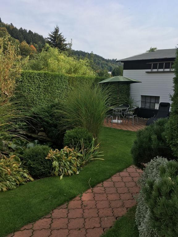 Penzion Ok Svoboda nad Úpou Exterior foto